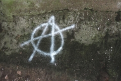 17554379_1272894639412934_3227238658235274324_n