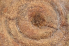 Cast of Bronze-age cup and ring mark