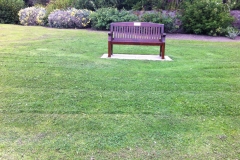 14137972_1071231752912558_6768231252804621069_o