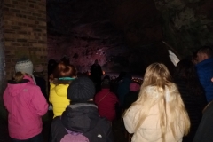 74237644_2499165816785804_5750055688504082432_o