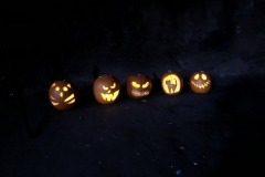 75497681_2499386666763719_3128445661486252032_o