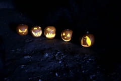 76179138_2499386466763739_4179450499851878400_o