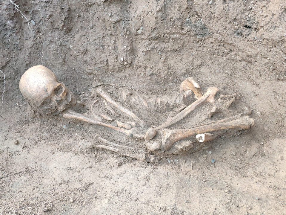 Bones find – update